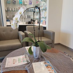 Hand and Stone Massage and Facial Spa - Summerwood