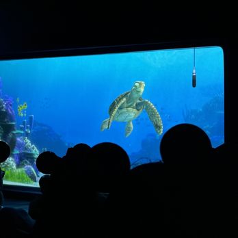 Turtle Talk with Crush - Amusement Parks Near Me - Anaheim, California