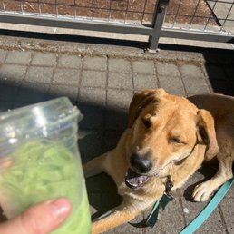 Matcha latte