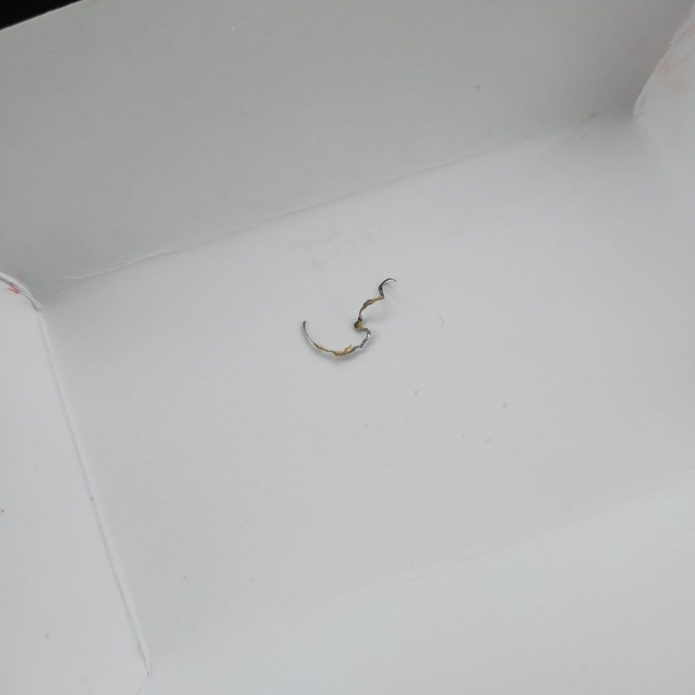 Strip of foil/metal found in filling
