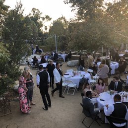Reception Reception