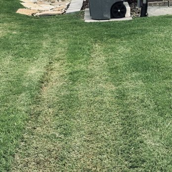 Chorbie - Worst mowing job ever - Lawn Services Near Me - Frisco, Texas