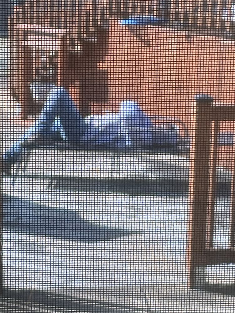 Slide of Peak Roofing & Solar