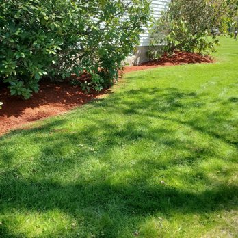 Alegria's Landscaping Services - a green lawn with mulch - Landscaping Near Me