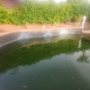 Photo of Aqua Desert Pool Services