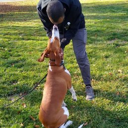 Wes happy to see trainer Mark and receiving some loving