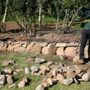 Photo of Bushes Landscaping & Garden Center