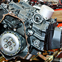 Cylinder Head of Orange Park