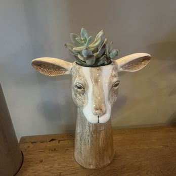 Valley Goat - Decor - New American Near Me - Sunnyvale, California Valley Goat - Decor - New American Near Me - Sunnyvale, California