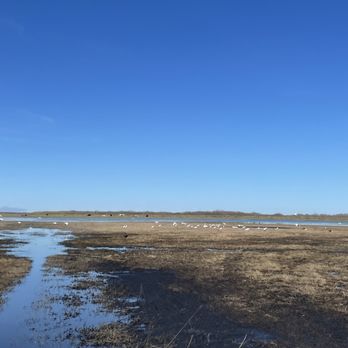 Central Florida Airboat Tours - Boat Tours Near Me - Cocoa, Florida