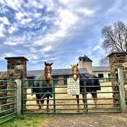 Hidden Valley Farm - Hidden Valley Farm