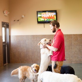 Elite Suites Pet Resort - Heath - Pet Groomers Near Me - Heath, Texas Elite Suites Pet Resort - Heath - Pet Groomers Near Me - Heath, Texas