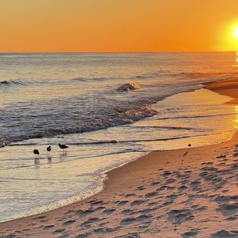 Perdido Realty - Vacation Rentals Near Me - Perdido Key, Florida Perdido Realty - Vacation Rentals Near Me - Perdido Key, Florida