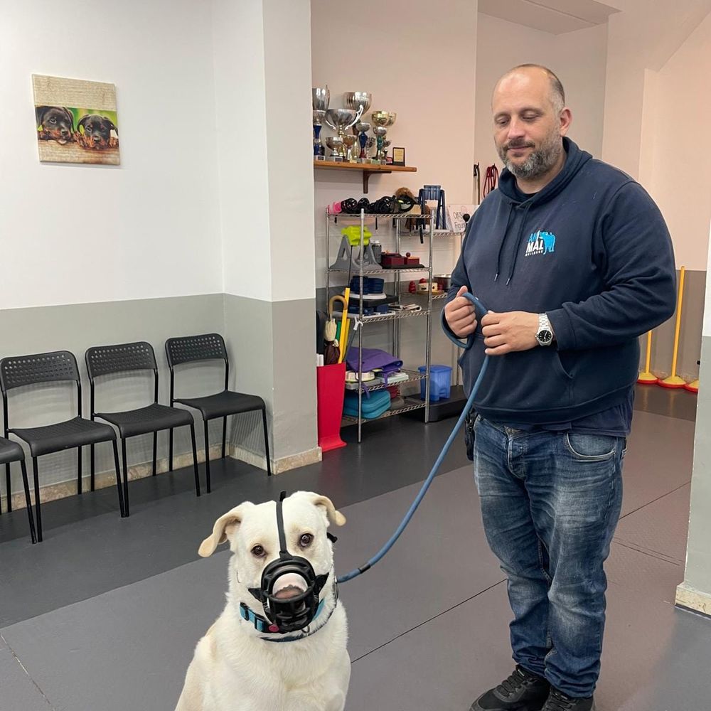 THE BEST 10 Pets near VIA MONTEMAGNO 55, 51039 QUARRATA, ITALY - Quality \u0026  Affordability - Ambulatorio Veterinario Associato Dott.ssa Lotti C.  Squarcini, Cat's and Dog's Supermarket, Lo Zoo - Updated 2026 - Yelp, image size:1000x1000