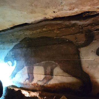 Inner Space Cavern - Tours Near Me - Georgetown, Texas