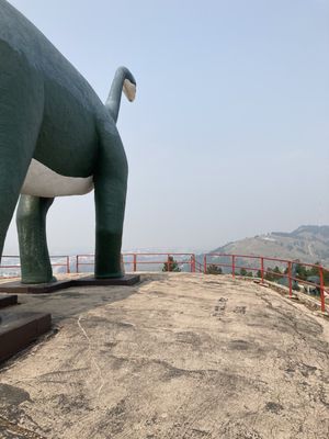 Dinosaur Park by null