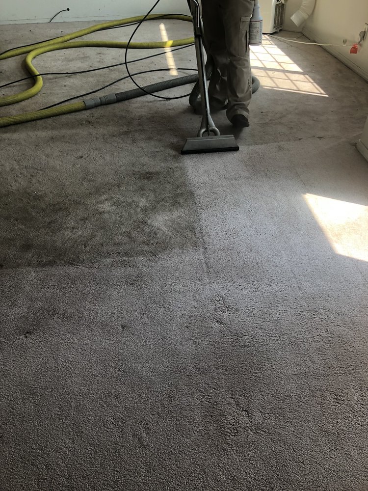 STANLEY STEEMER Updated August 2024 10 Reviews 5311 E Empire Ave