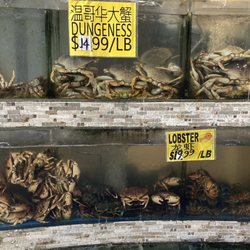 New Age Market - Fresh Shellfish