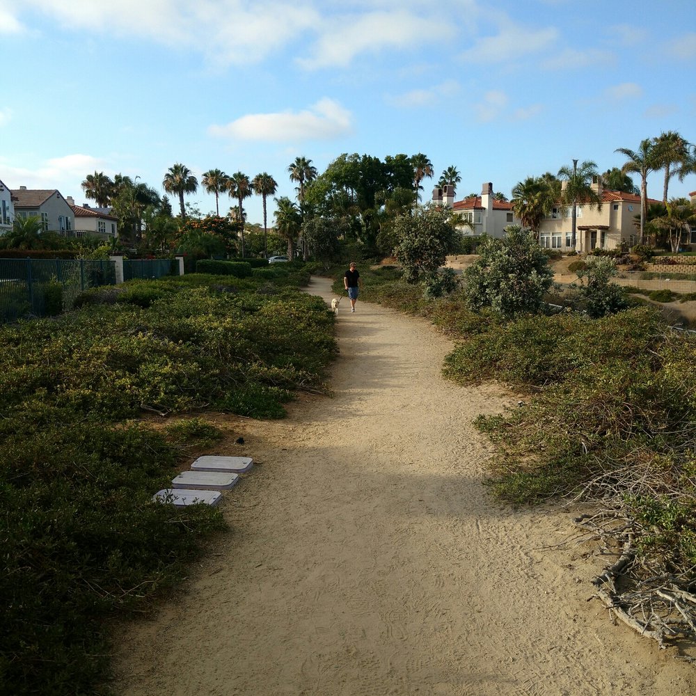 Batiquitos North Bluff Trail - The trail allows dogs on leash - Hiking Near Me - Carlsbad, California Batiquitos North Bluff Trail - The trail allows dogs on leash - Hiking Near Me - Carlsbad, California