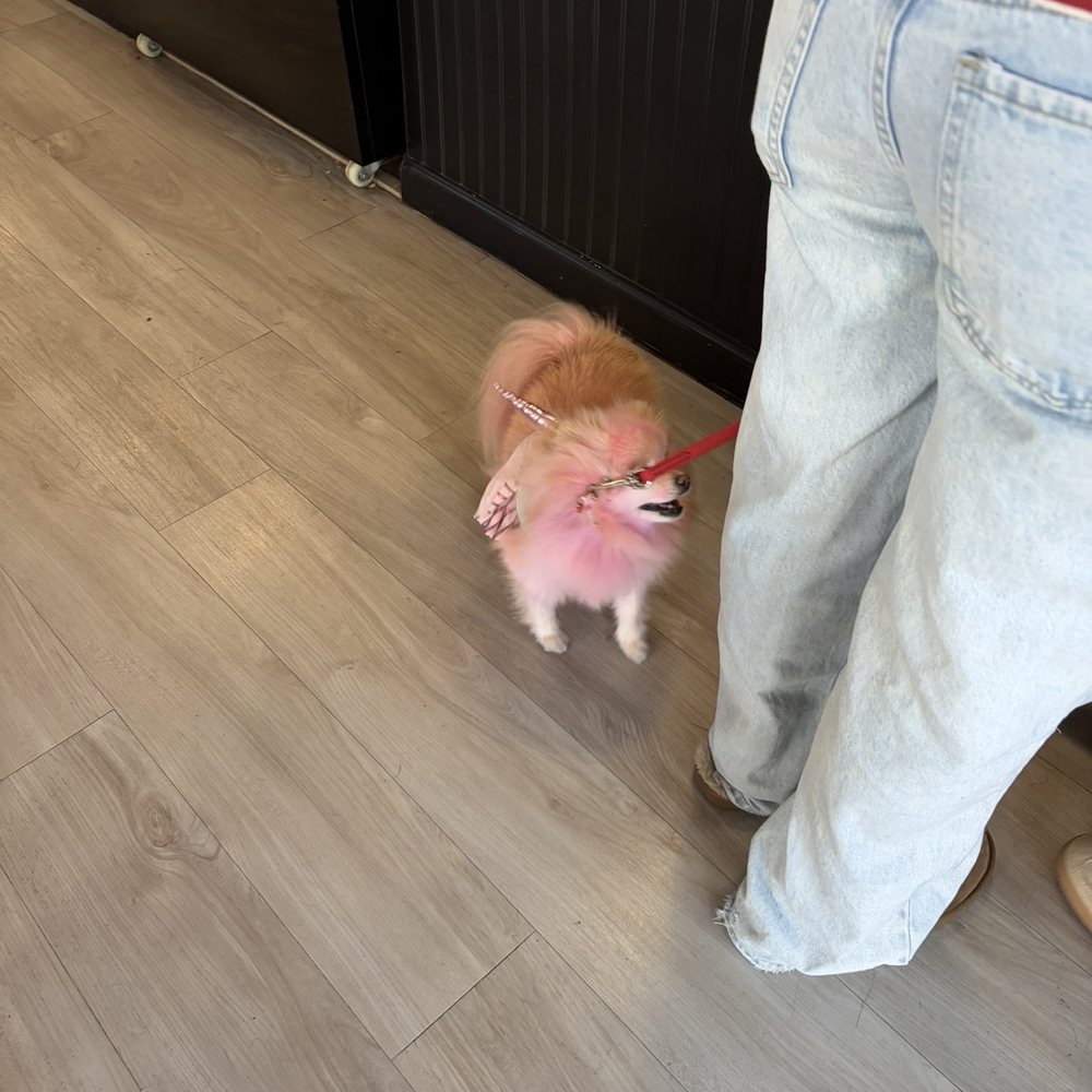YES PLEASE - Pink dog sighting - Coffee & Tea Near Me - La Quinta, California