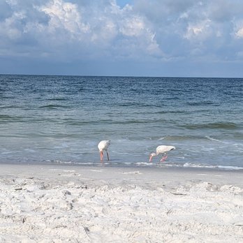 Great Heron Inn - Hotels Near Me - Indian Rocks Beach, Florida Great Heron Inn - Hotels Near Me - Indian Rocks Beach, Florida