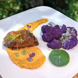 WildSpice Gourmet - bison short ribs on golden carrot puree with purple cauliflower, chef-grown microgreens