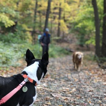 Storm King State Park - Life in a nutshell - Hiking Near Me - Cornwall-on-Hudson, New York Storm King State Park - Life in a nutshell - Hiking Near Me - Cornwall-on-Hudson, New York