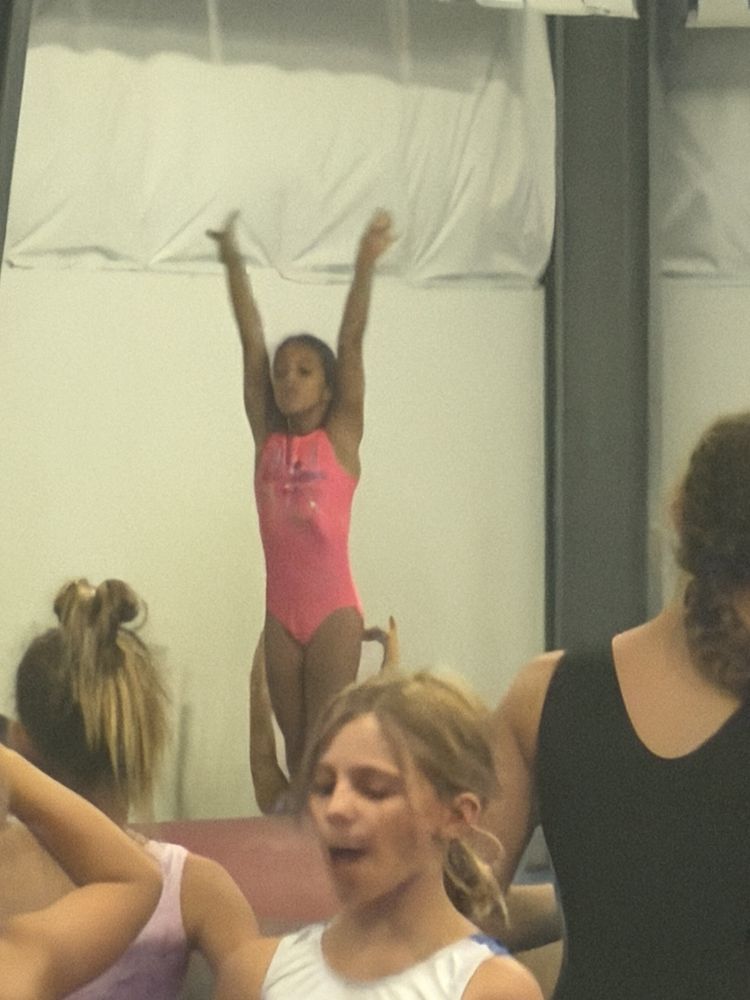 Gymnastics Academy Of Charleston Logo