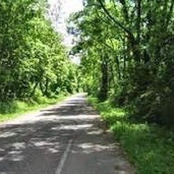 Old River Road Trail