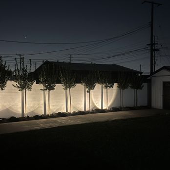 Miguel Tree Service - Night!! - Tree Services Near Me Miguel Tree Service - Night!! - Tree Services Near Me