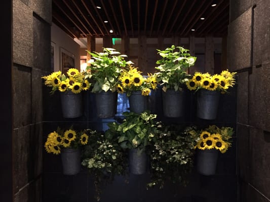 Hotel Vermont by null