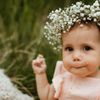 Wholesale Flower Market, Inc gift card