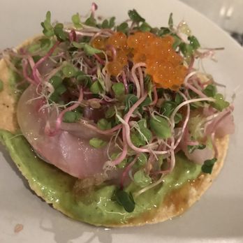 Ceviche Project - Hawaiian Kanpachi Tostada fresh and light - Latin American Near Me - Los Angeles, California