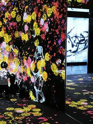 teamLab Borderless: MORI Building DIGITAL ART MUSEUM by null