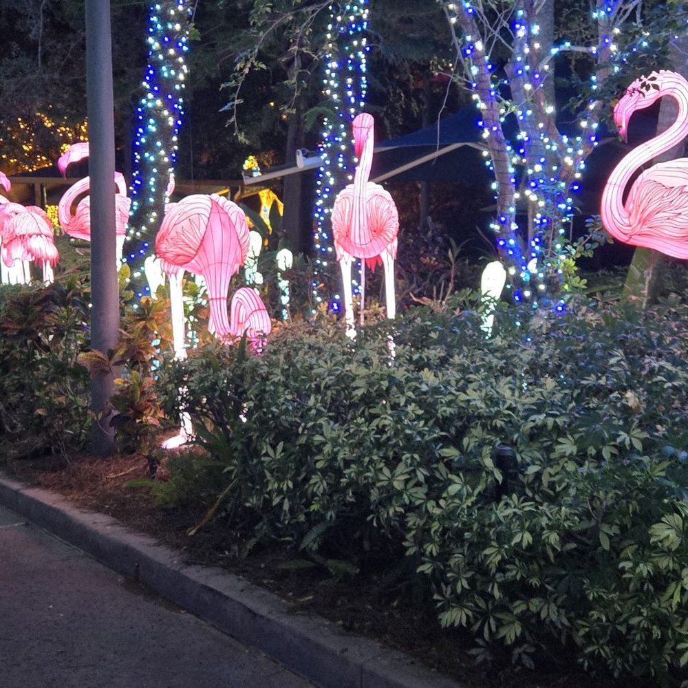 Aquatica Orlando - Flamingo artwork - Water Parks Near Me - Orlando, Florida Aquatica Orlando - Flamingo artwork - Water Parks Near Me - Orlando, Florida