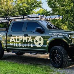 Alpha Wildlife