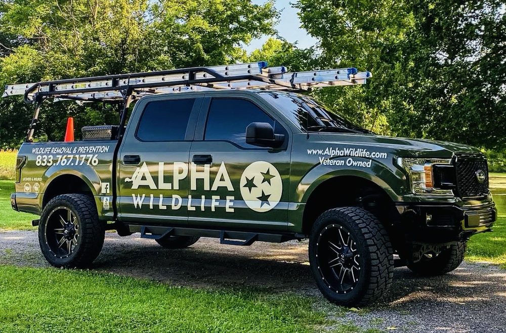 Alpha Wildlife - veterans service organization in Germantown, TN