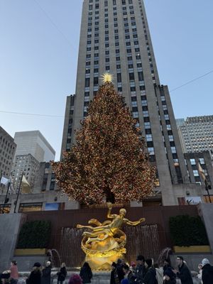 The Rink At Rockefeller Center by null