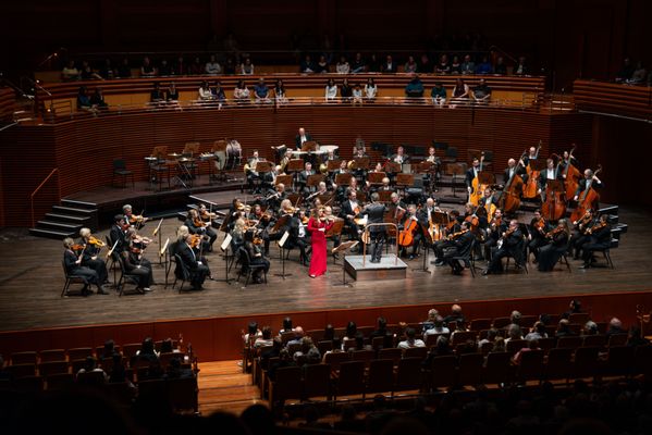 Orlando Philharmonic Orchestra by null