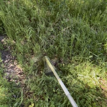 Prosperity Services - trimmer tall grass on slope in mountains - Movers Near Me