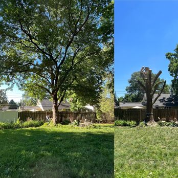 Ulett Tree & Landscaping - Before and after - Landscaping Near Me Ulett Tree & Landscaping - Before and after - Landscaping Near Me