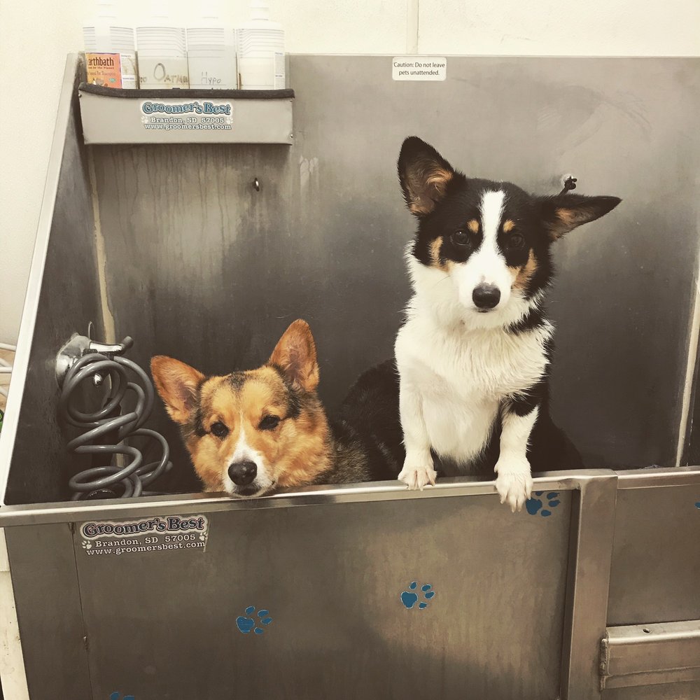 SPECK’S PET SUPPLY Updated September 2024 122 E McClarnon Dr, Greenfield, Indiana Pet