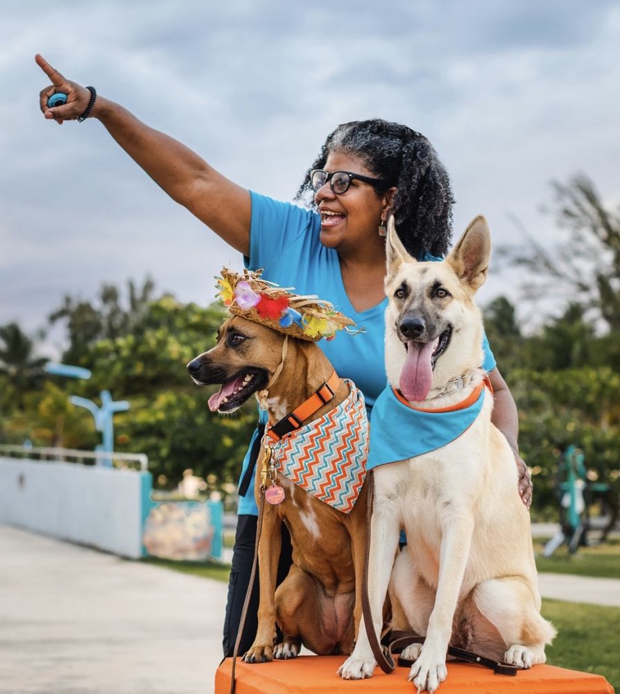 Searypets Image