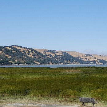 Radke Martinez Regional Shoreline - Parks Near Me - Martinez, California Radke Martinez Regional Shoreline - Parks Near Me - Martinez, California