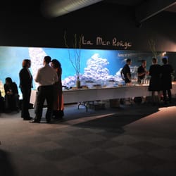 Aquarium de Vendée - Un cadre exceptionnel pour tous vos invités !