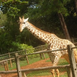 Zoológico de Americana
