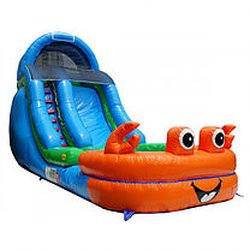 Sunshine Party Jumps - All our waterslides are 18" tall and 38 ft. Long. With a splash pool at the end.