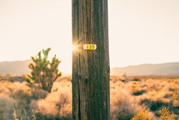 Pahranagat National Wildlife Refuge by null