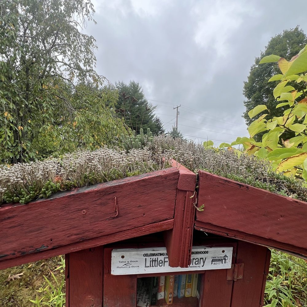 Little Free Library - Roof grows plants - Community Book Box Near Me - Gorham, Maine Little Free Library - Roof grows plants - Community Book Box Near Me - Gorham, Maine