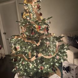 Cohn's Fresh Christmas Trees - Love our live tree that we purchased last week. Very healthy beautiful tree and great service! Highly recommend!!!